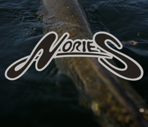 NORIES - Premium Hardbaits & Softbaits aus Japan